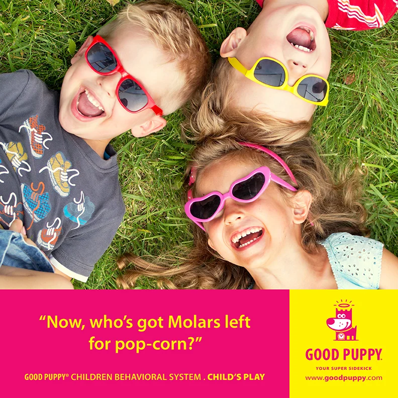 Good Puppy Children Behavioral Tools