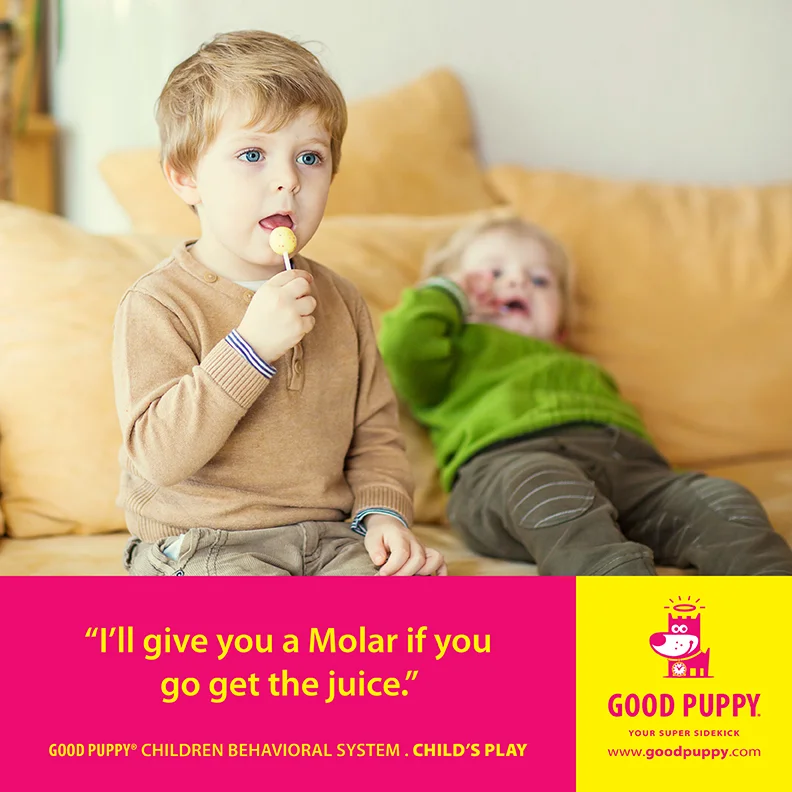 Good Puppy Children Behavioral Tools