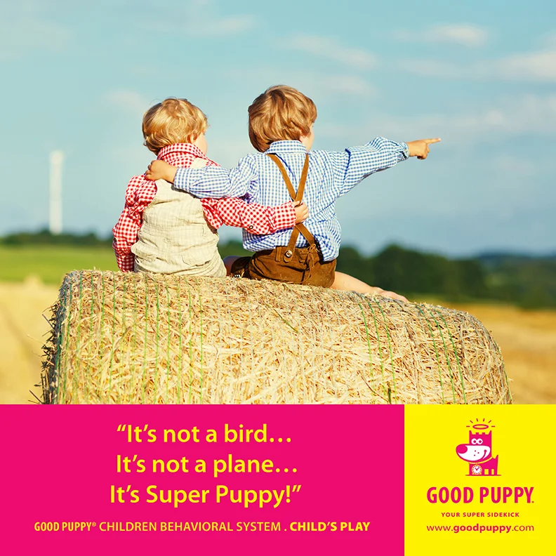 Good Puppy Children Behavioral Tools