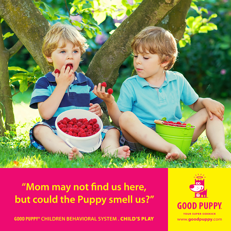 Good Puppy Children Behavioral Tools