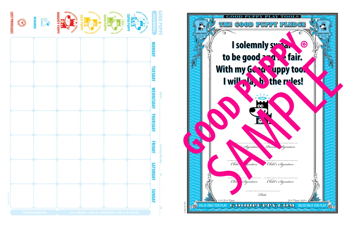 GoodPuppy-Children_Behavioral_System-ManualAndToolkit-Full_Sample-21.jpg