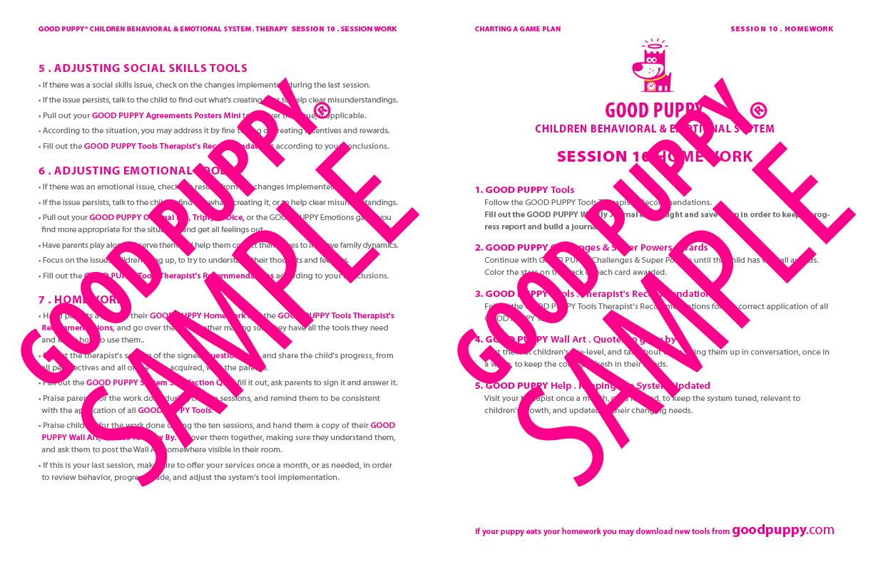 GoodPuppy-Children_Behavioral_System-ManualAndToolkit-Full_Sample-138.jpg