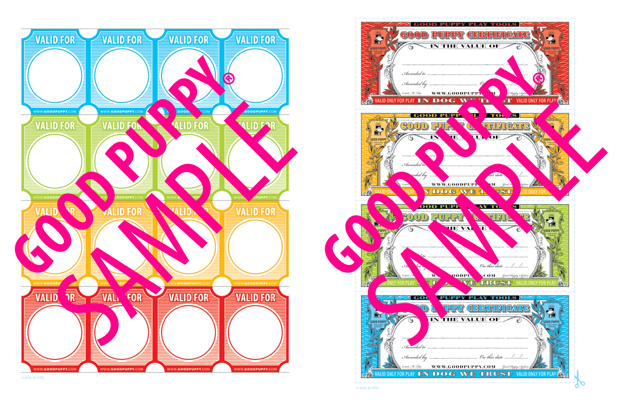 GoodPuppy-Children_Behavioral_System-ManualAndToolkit-Full_Sample-34.jpg