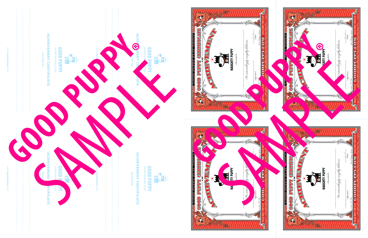 GoodPuppy-Children_Behavioral_System-ManualAndToolkit-Full_Sample-44.jpg