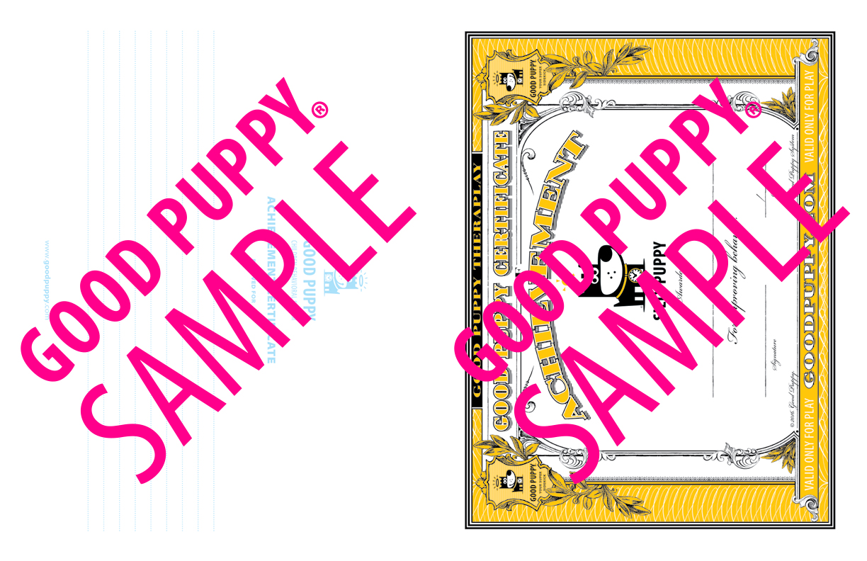 GoodPuppy-Children_Behavioral_System-ManualAndToolkit-Full_Sample-47.jpg