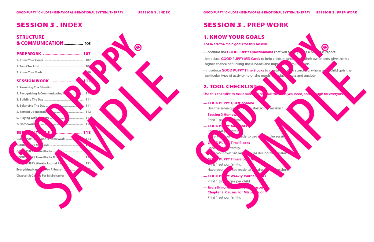 GoodPuppy-Children_Behavioral_System-ManualAndToolkit-Full_Sample-54.jpg