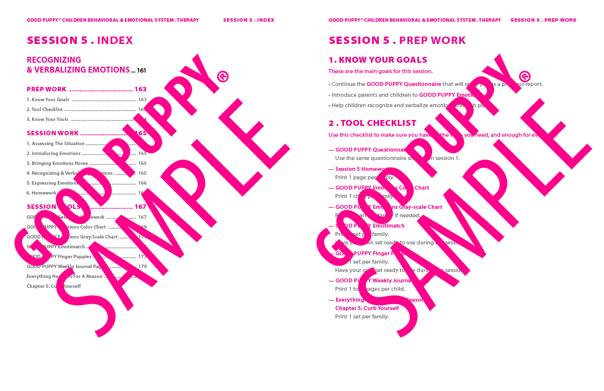 GoodPuppy-Children_Behavioral_System-ManualAndToolkit-Full_Sample-82.jpg