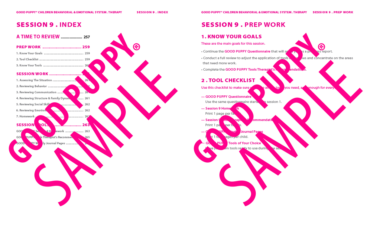 GoodPuppy-Children_Behavioral_System-ManualAndToolkit-Full_Sample-130.jpg