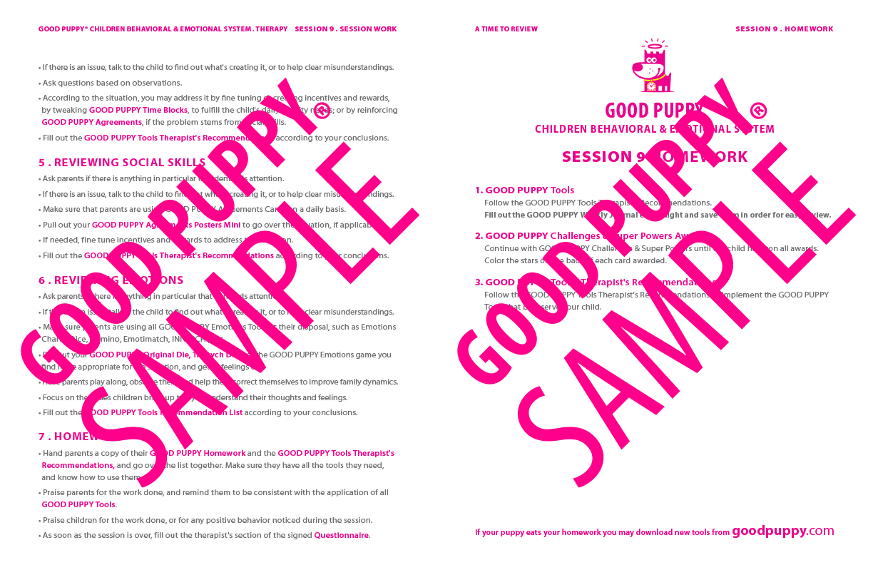 GoodPuppy-Children_Behavioral_System-ManualAndToolkit-Full_Sample-132.jpg