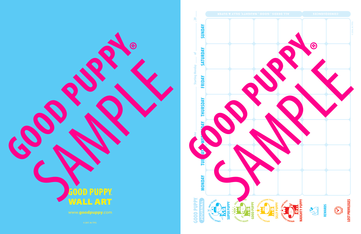 GoodPuppy-Children_Behavioral_System-ManualAndToolkit-Full_Sample-146.jpg