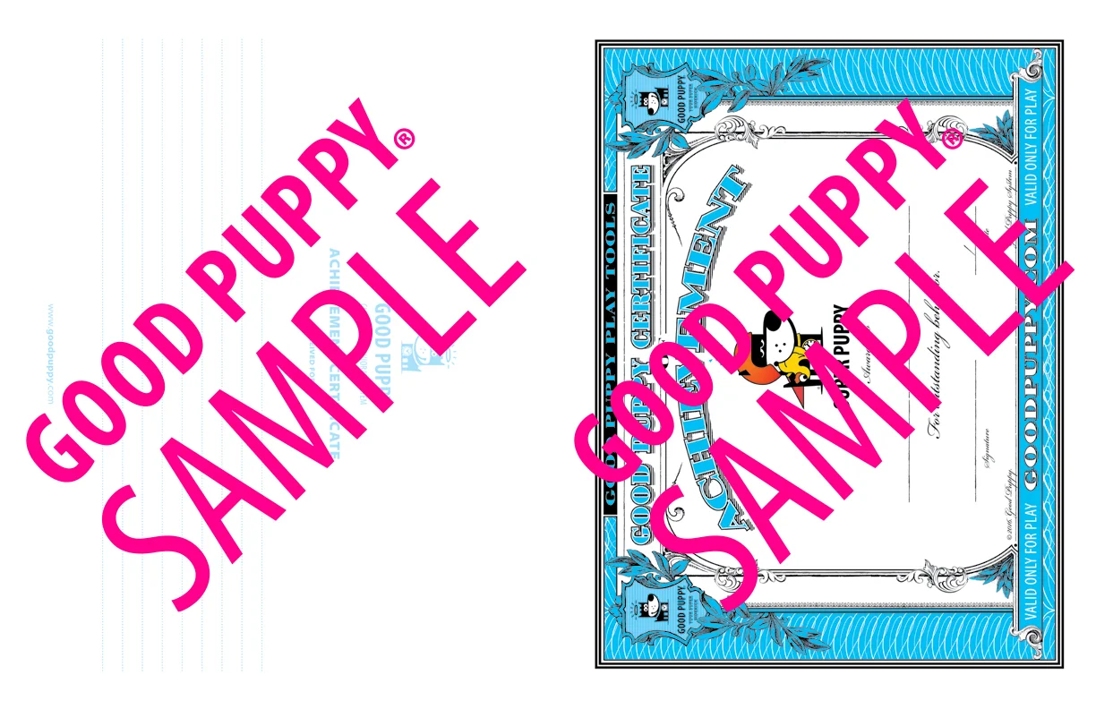 GP_CBES_HOME_SuperSidekick_Print_Perf_978-1-940692-52-4_024-SAMPLE-Watermarked-58.jpg