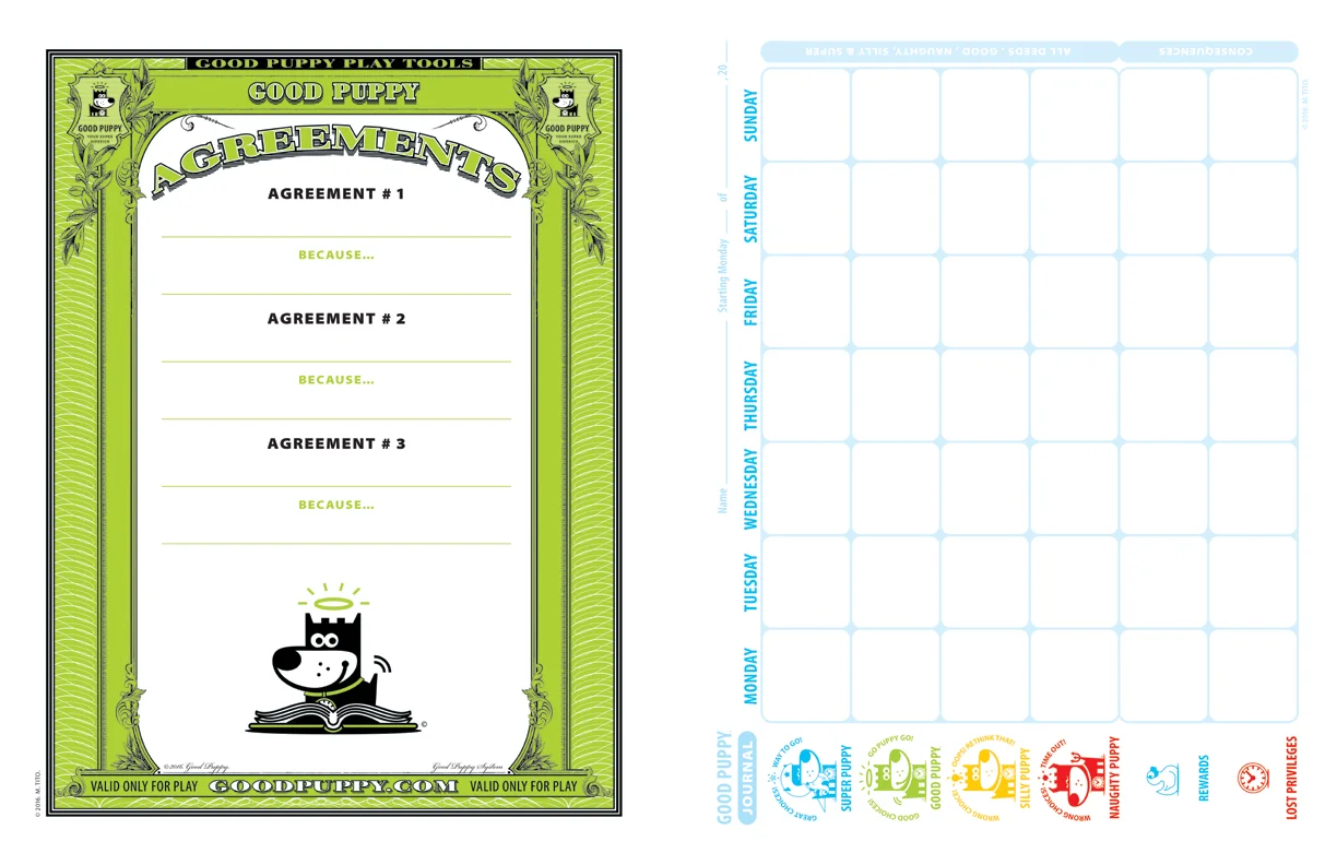 GoodPuppy-Children_Behavioral_System-ManualAndToolkit-Full_Sample-20.jpg