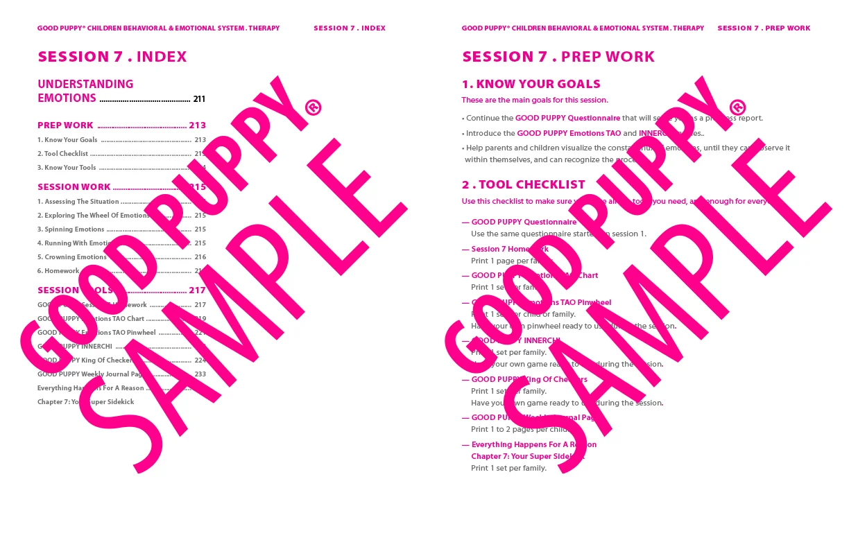 GoodPuppy-Children_Behavioral_System-ManualAndToolkit-Full_Sample-107.jpg