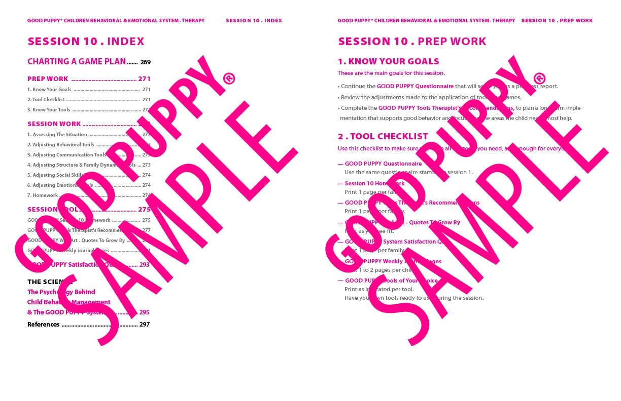 GoodPuppy-Children_Behavioral_System-ManualAndToolkit-Full_Sample-136.jpg