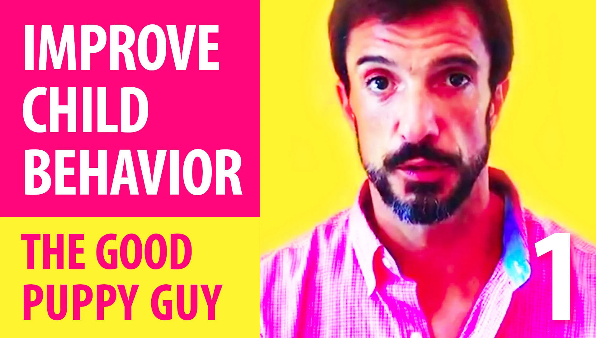 IMPROVE CHILD BEHAVIOR :  About Child Behavior Management : The Good Puppy Guy
