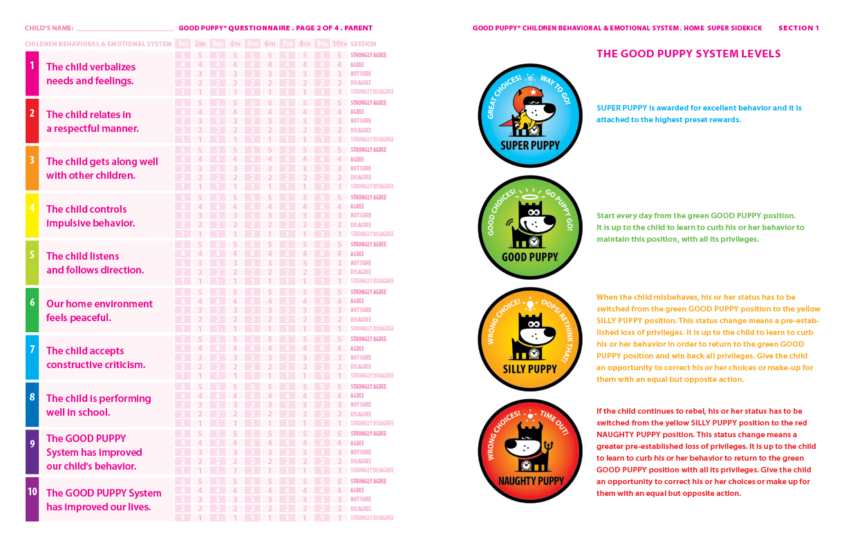 Child Behavioral System Levels