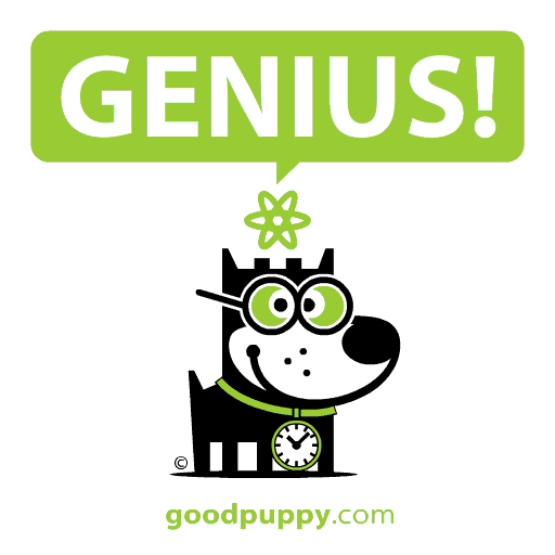 Teaching-Children-Critical-Thinking-Genius.gif