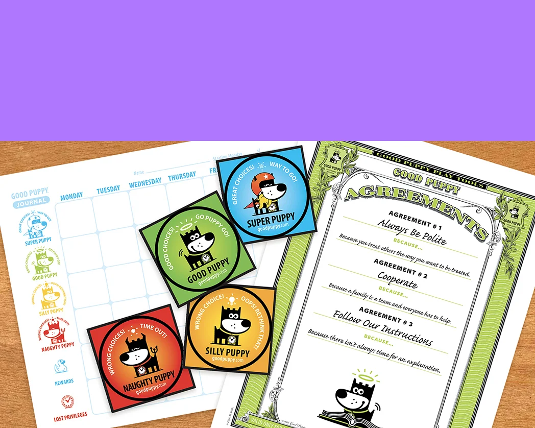 Child-Cognitive-Behavioral-School-Tools-2-O-S-E.jpg
