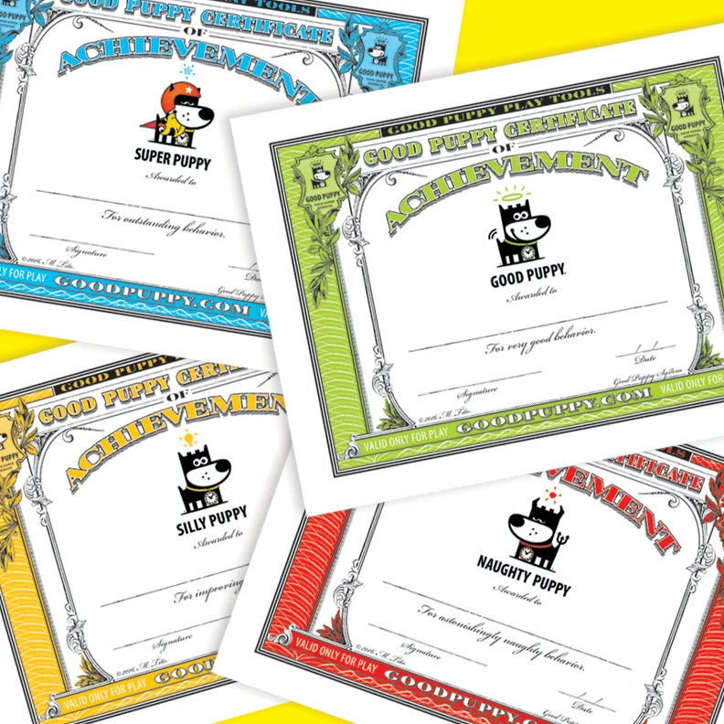 19-Child-Behavioral-Rewards-Certificates-Of-Achievement-Mini.jpg