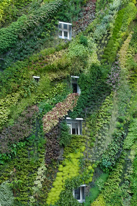 Photograph by Yann Monel.&nbsp;