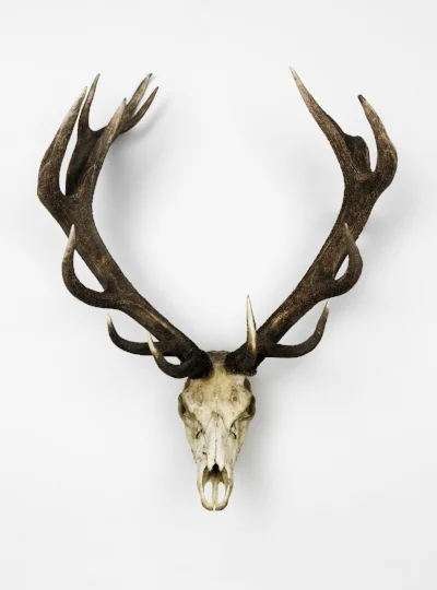 OH DEER&nbsp;-&nbsp;MURAL,&nbsp;30inch x 40inch (76.2cm x 101.6cm)