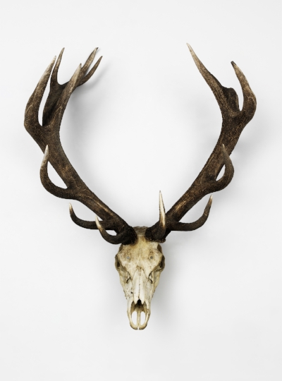 OH DEER - MURAL, 30inch x 40inch ( 76.2cm x 101.6cm)