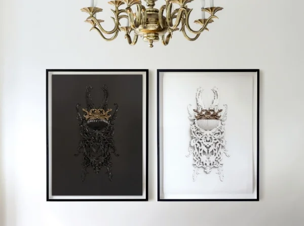 TAXONOMY, Stag Beetle