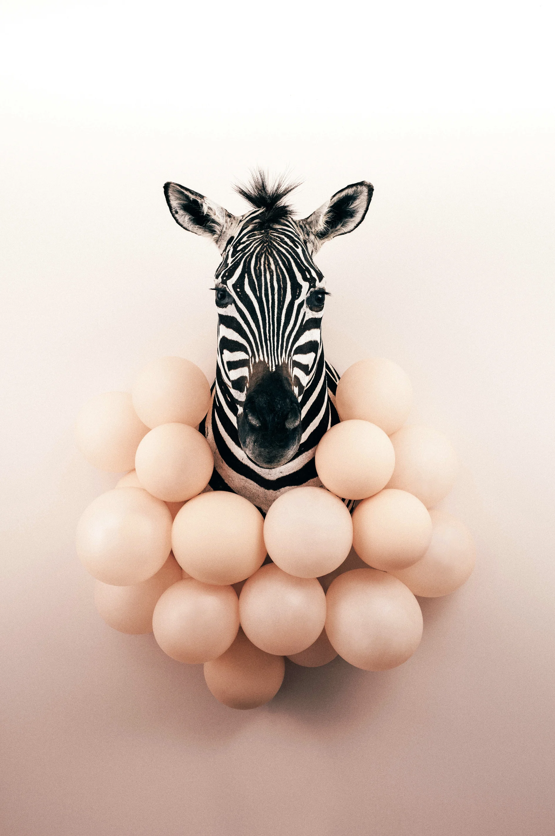 PartyAnimalByAnnaChurch copy.jpg