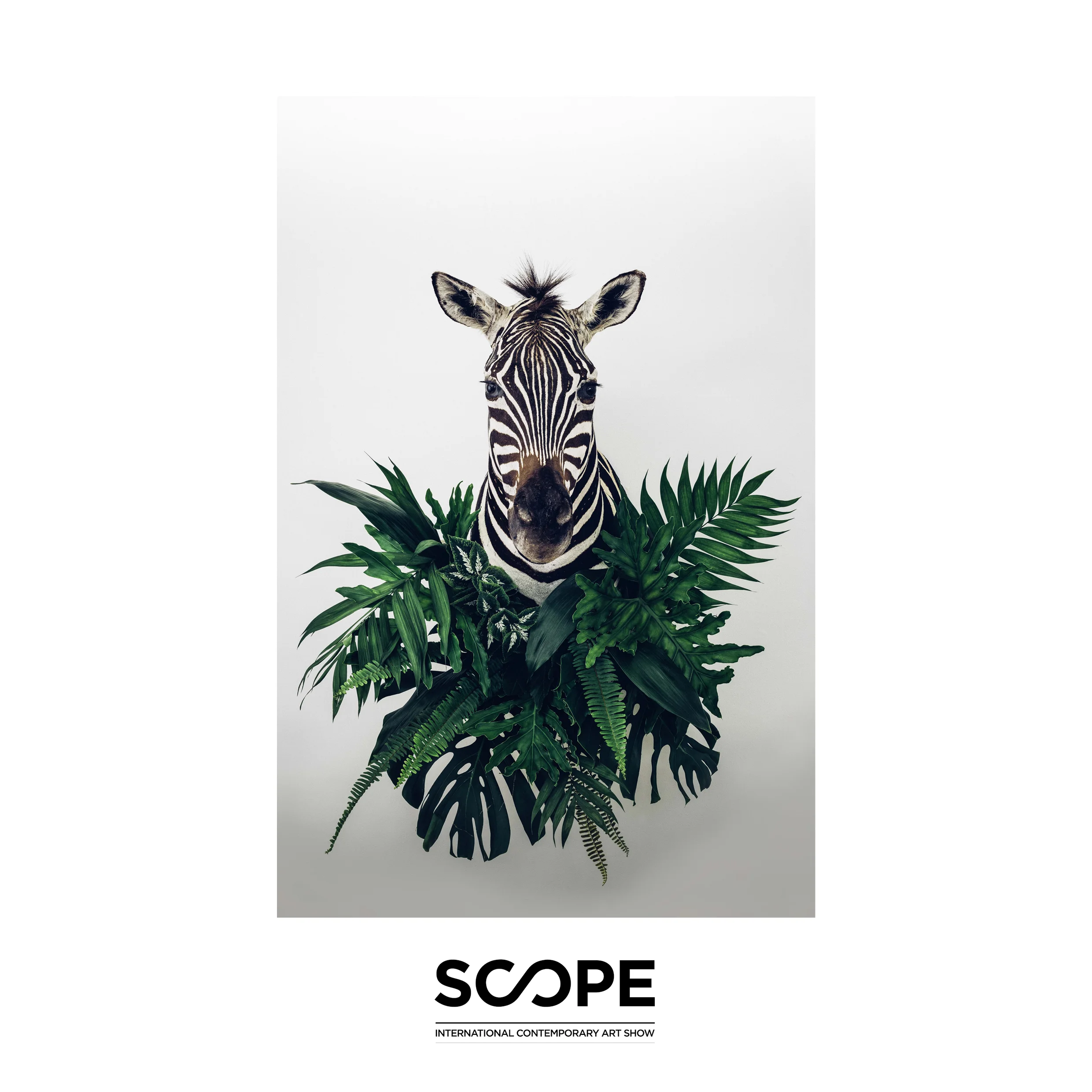 'The Botanist', represented by Axiom Contemporary at Scope, Miami Beach.