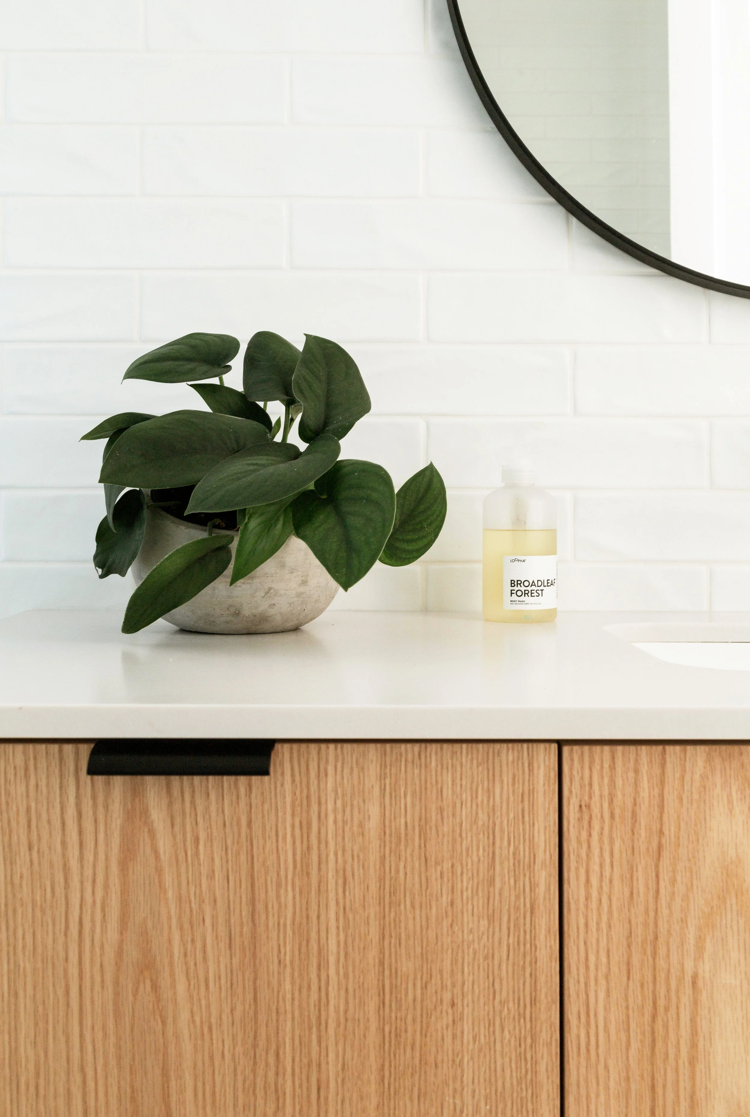 AnnaChurch_GrantSt_Reno_AfterBathroom2019-5 copy.jpg