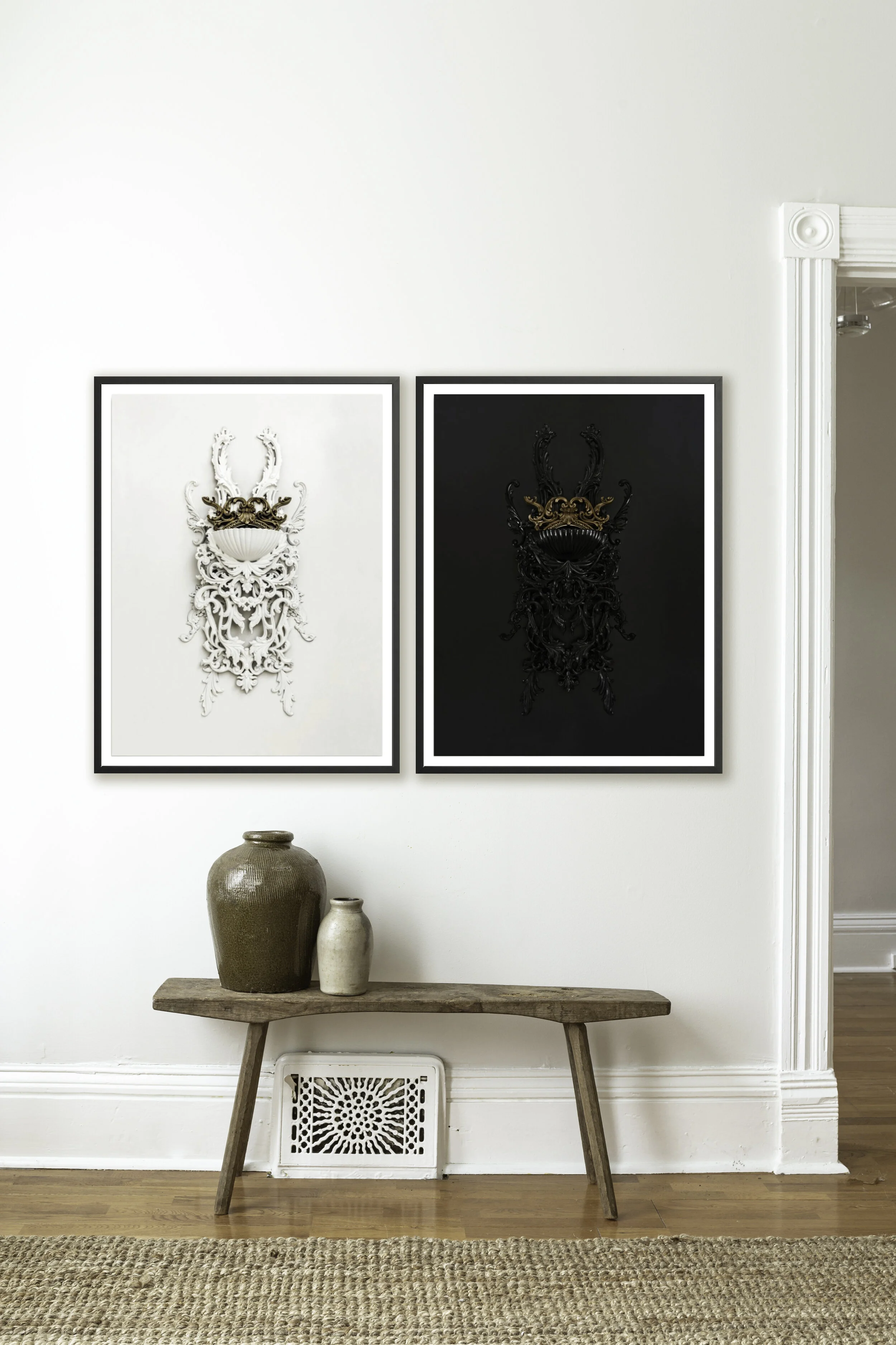 TAXONOMY_Insitu_Framed_LargeX2.jpg
