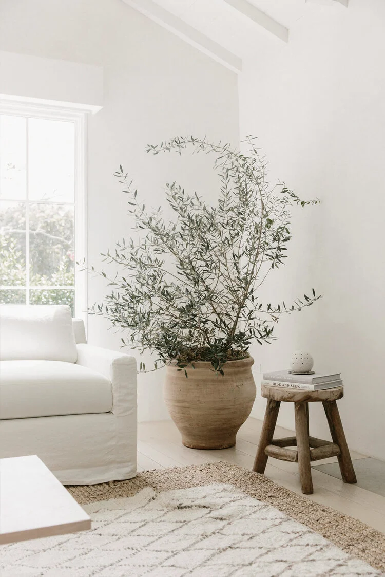 Spring Revival - Give your home an eco-friendly interior design makeov ...