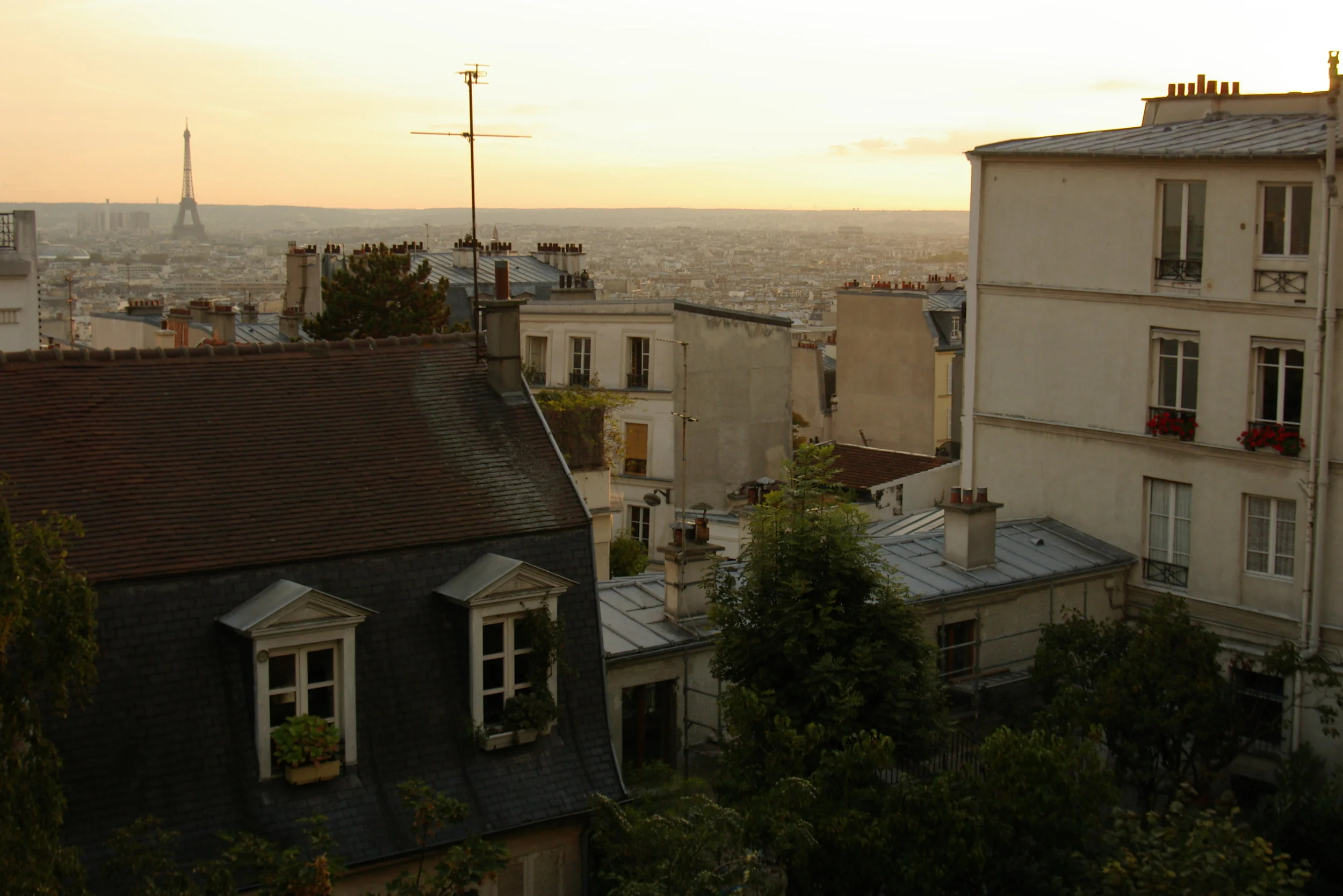 ©LyndolTercaFera19 copy.JPG