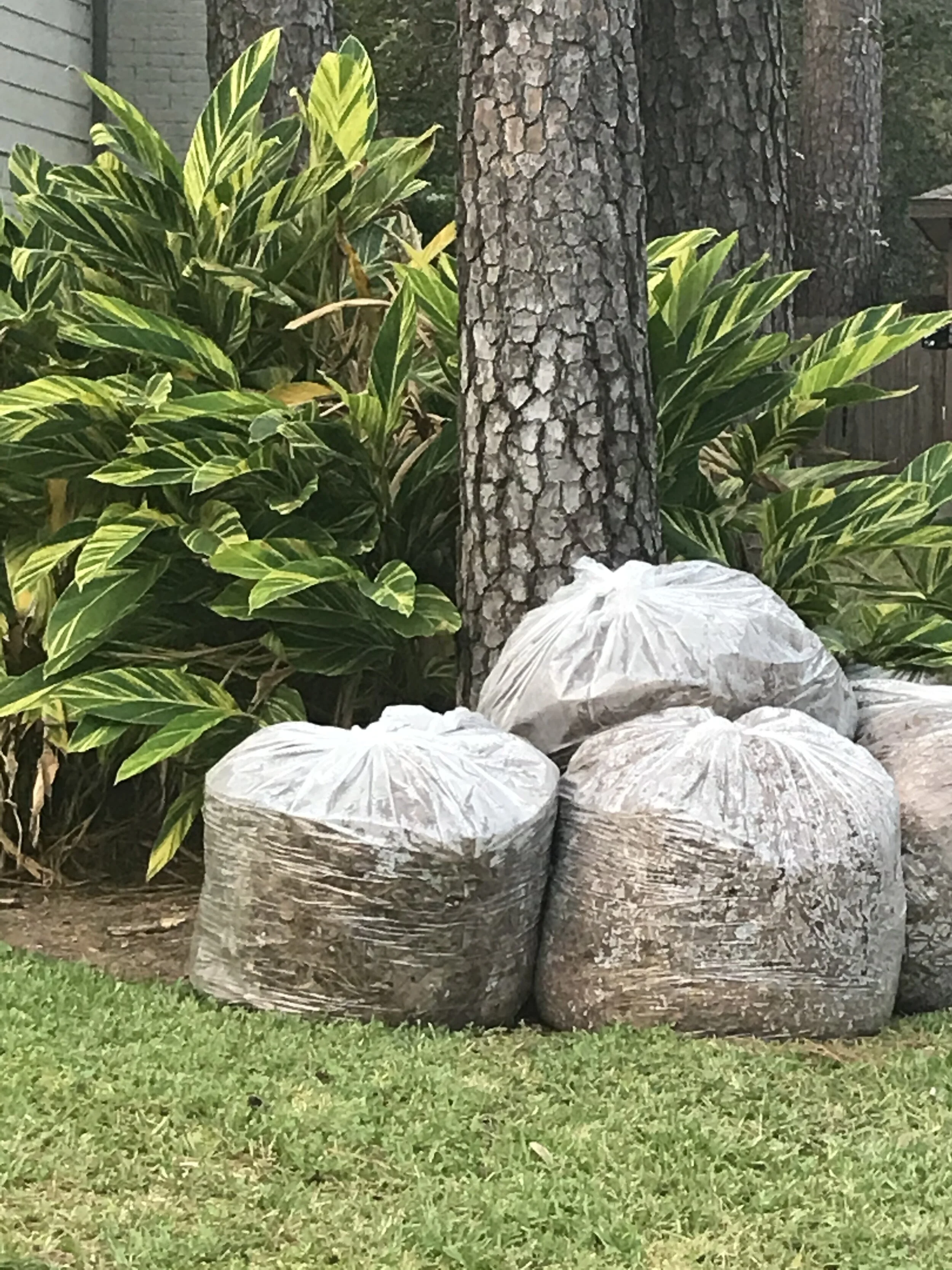 Going Back to Analogue - New Music and Video by Lyndol Descant