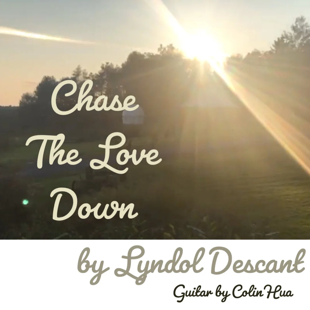 Chase the Love Down by Lyndol Descant, Healing Patterns of Desperation to Find Love