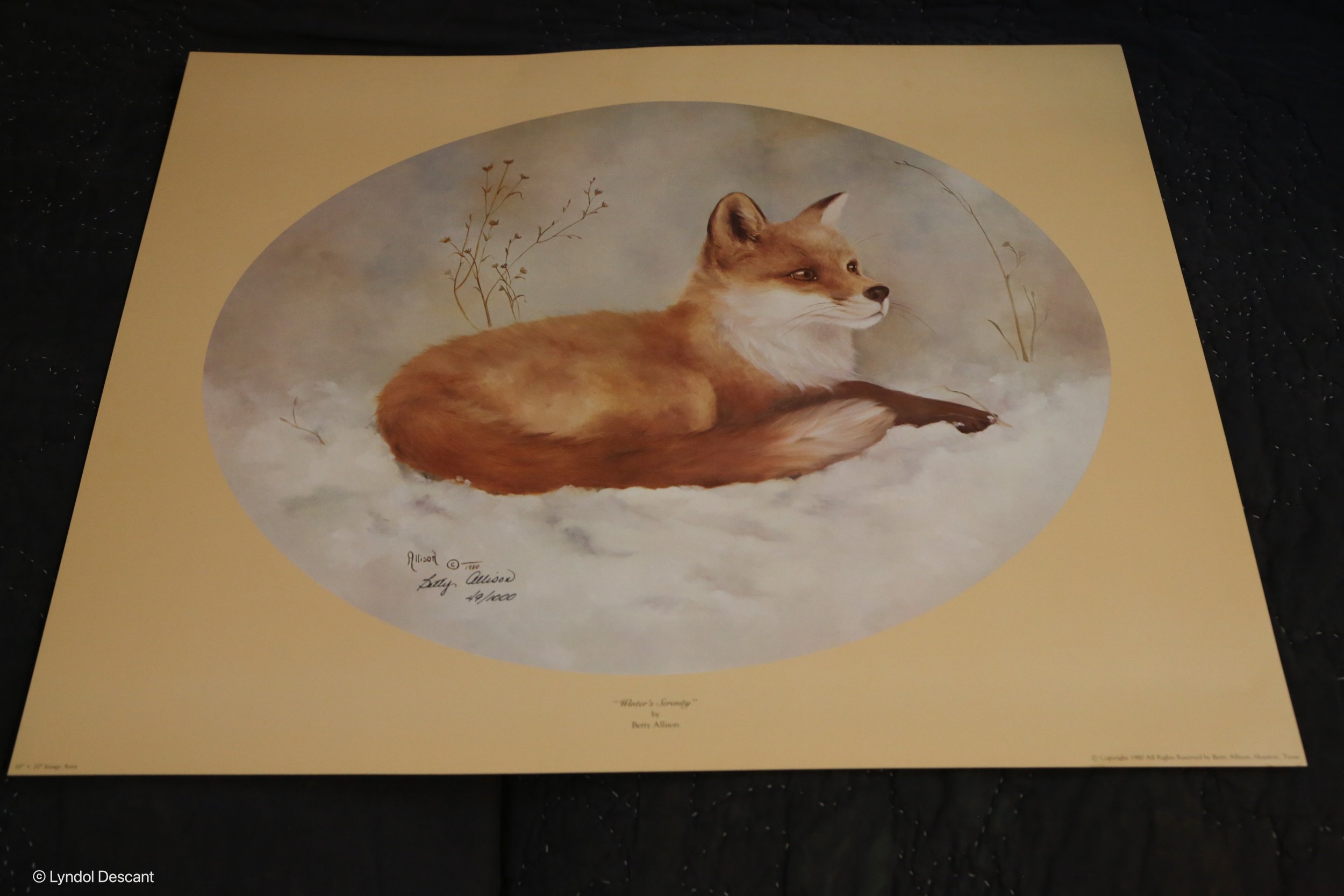 BAPWinter'sSerenity-09.jpg