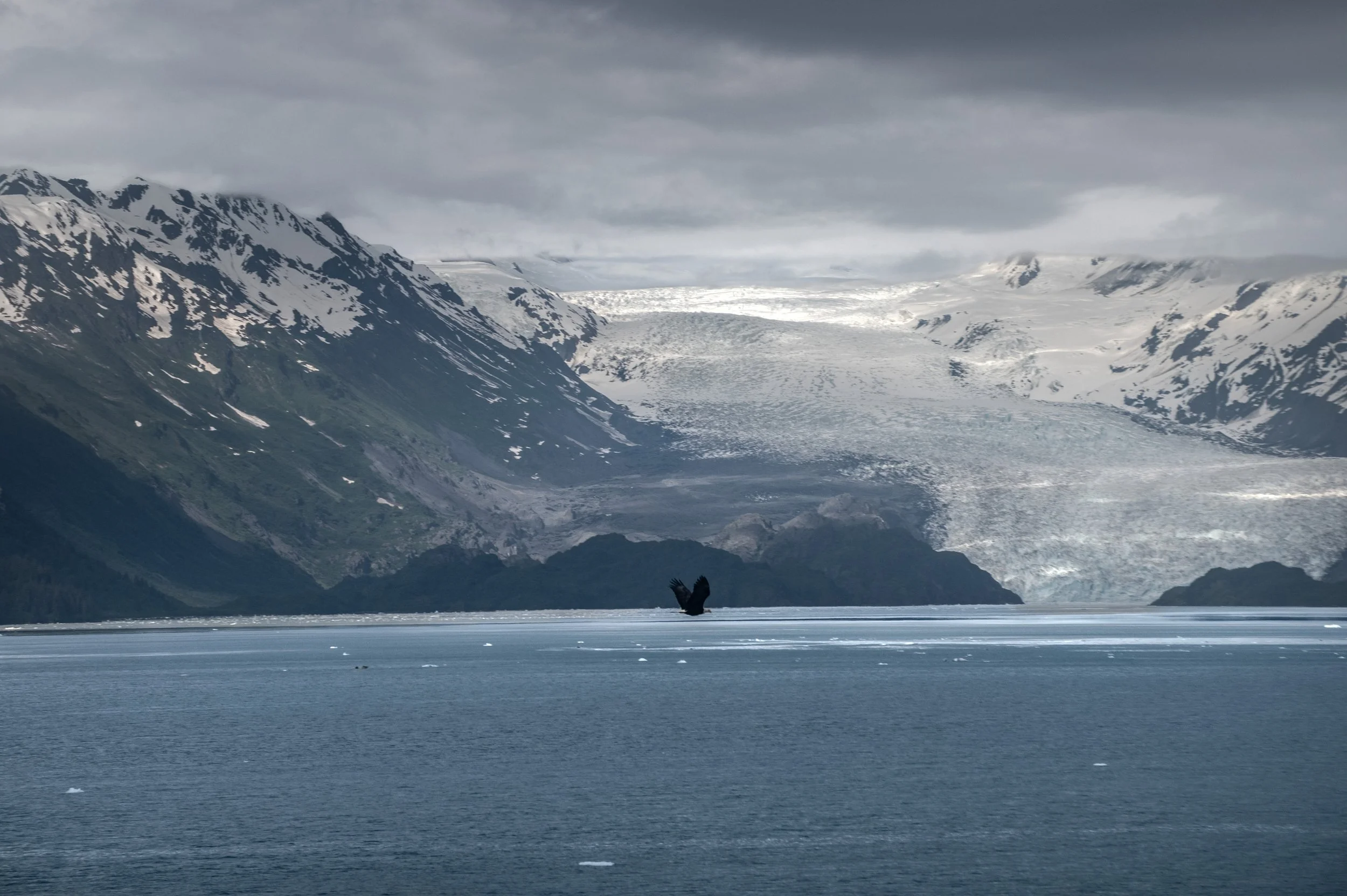 Glacier Bay National Park, Alaska