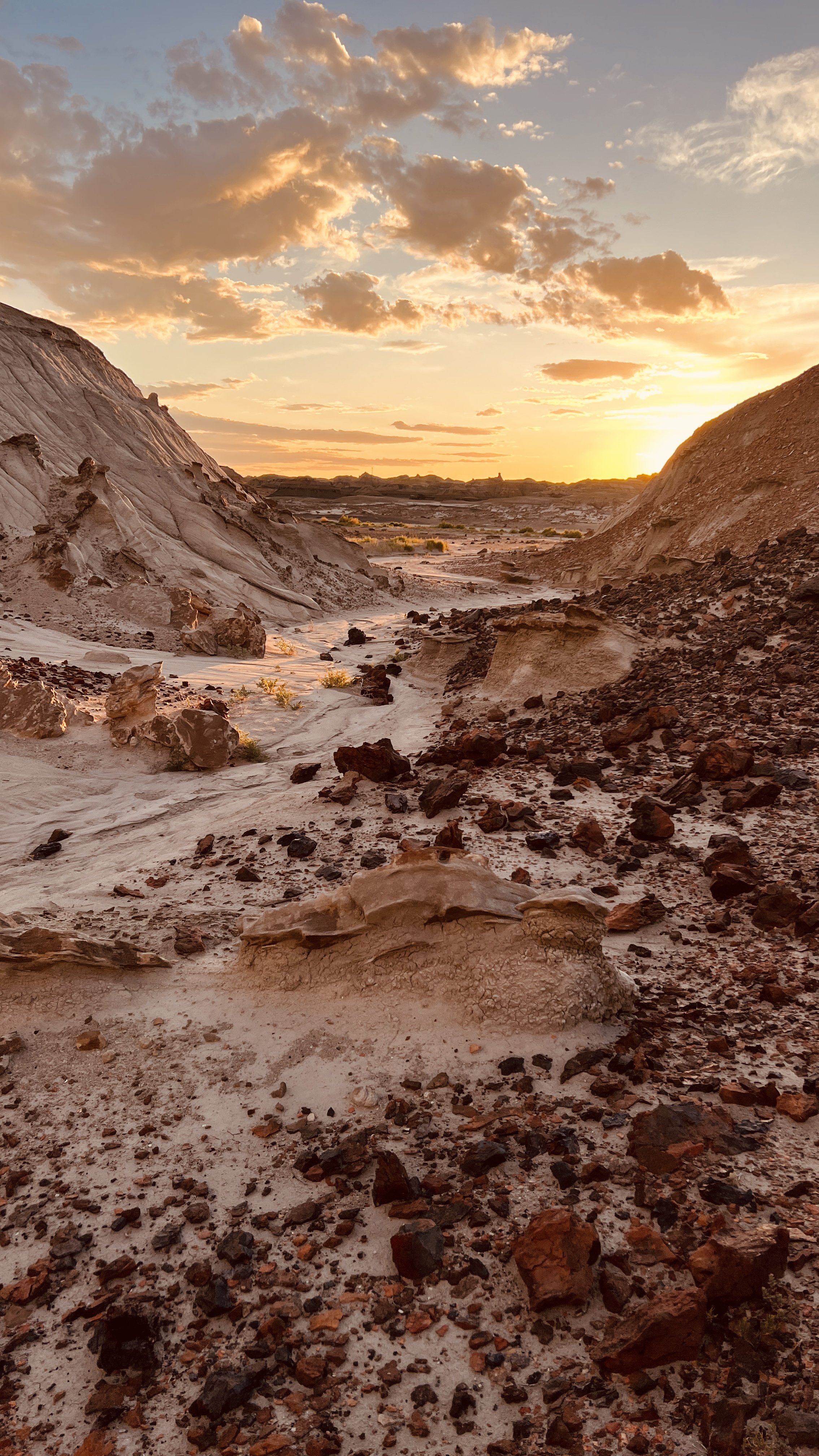 Bisti Badlands, New Mexico