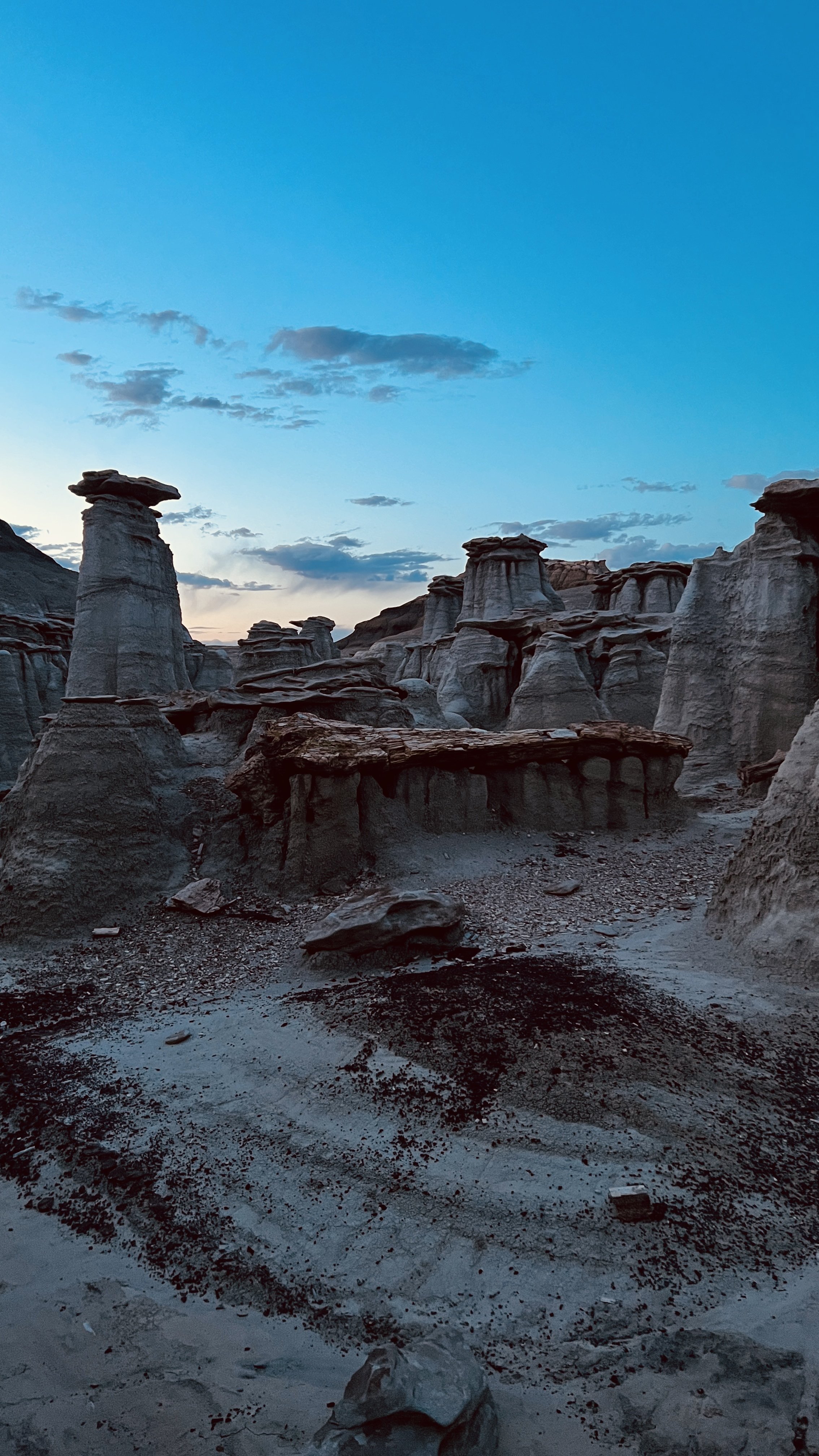 Bisti Badlands, New Mexico