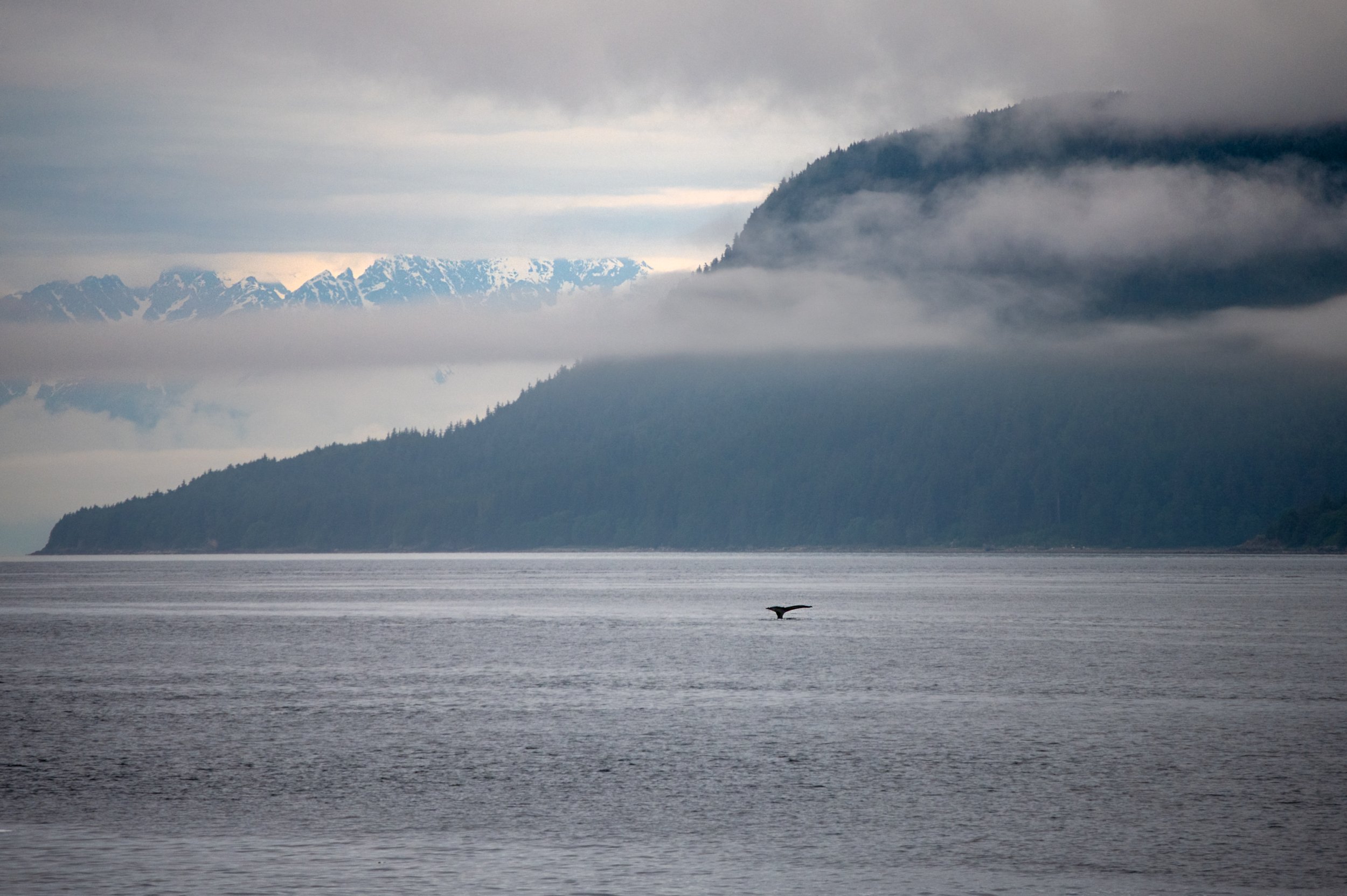 Alaska