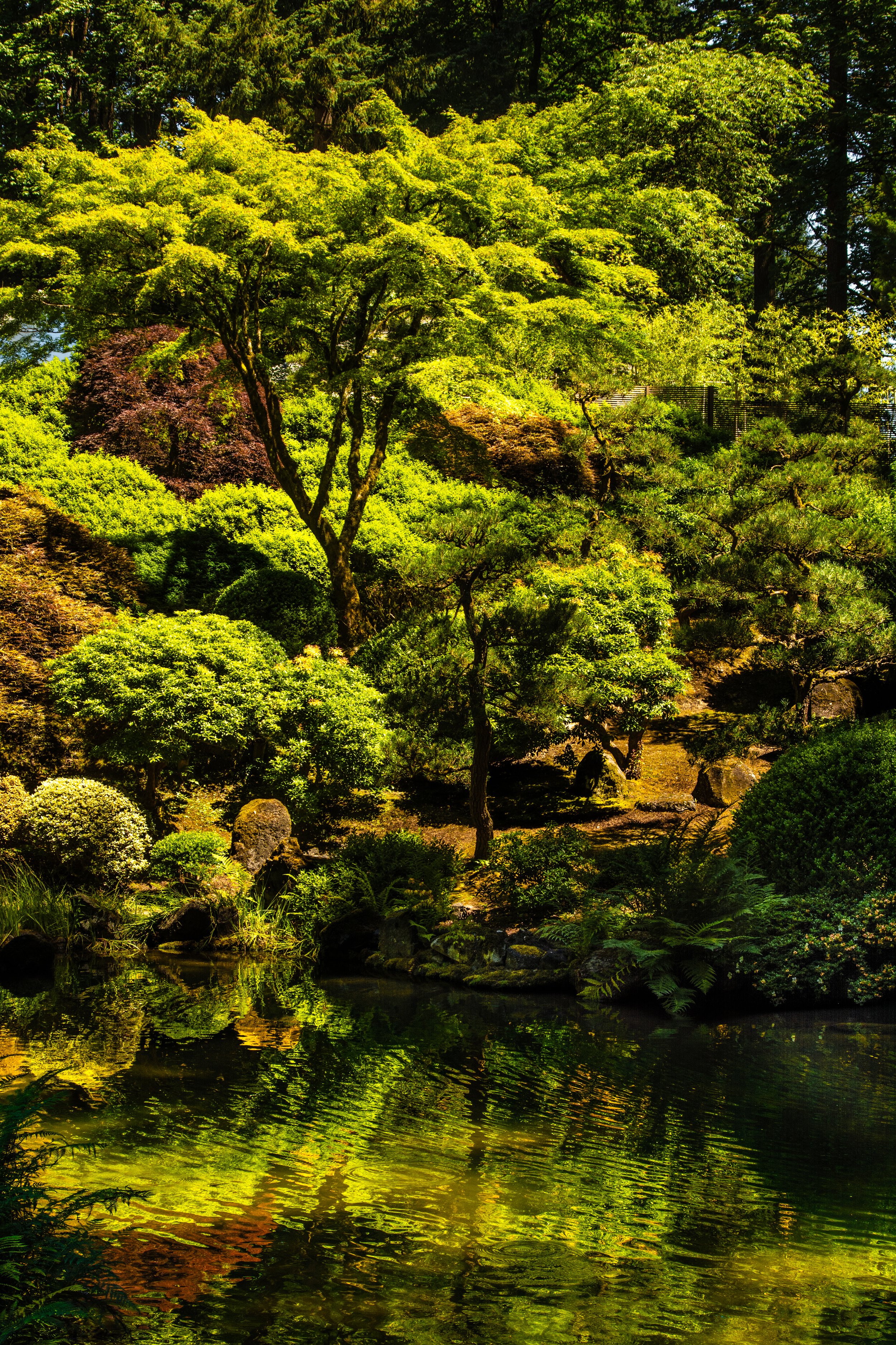 Japanese Garden - Portland, Oregon