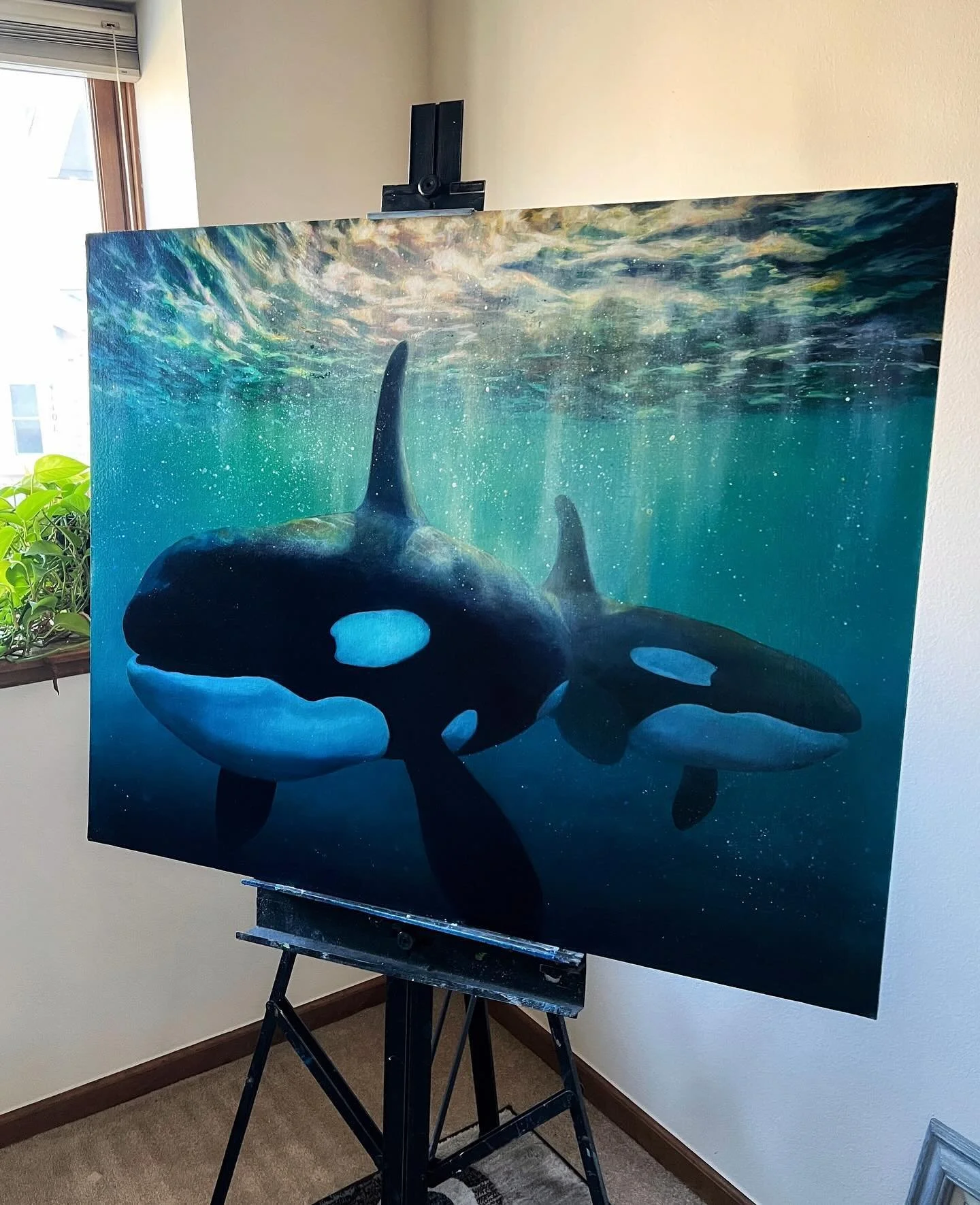 Excited to share my latest painting! This piece was created with oil paint on board and was inspired by videos I came across on TikTok. In the videos, surfers who had fallen into the water discovered the presence of whales beneath them. I was struck 
