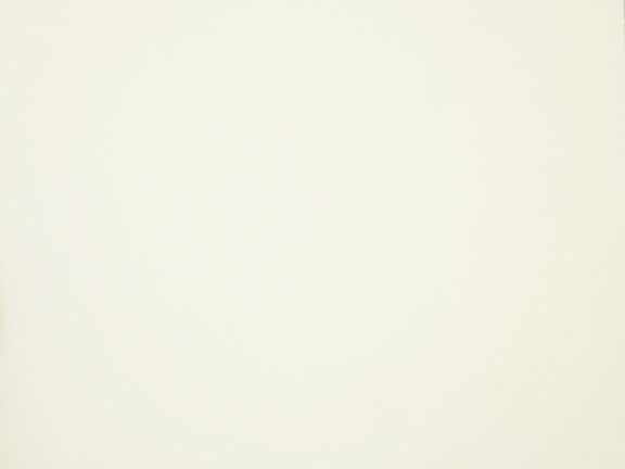 Ivory Opaque Smooth texture