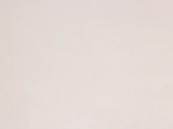 Opaque Champagne Opaque Smooth texture