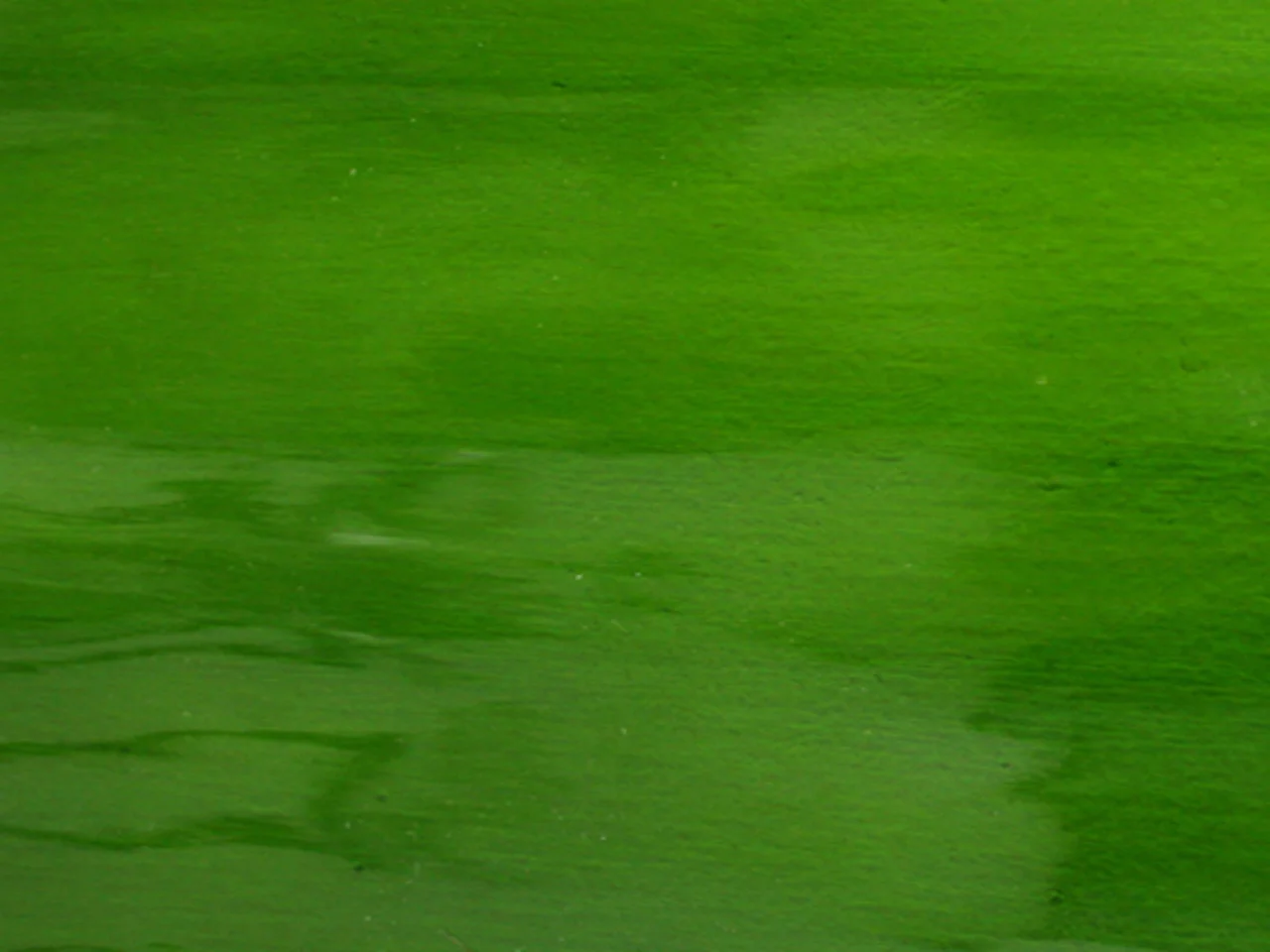 Moss Transparent "Waterglass" texture
