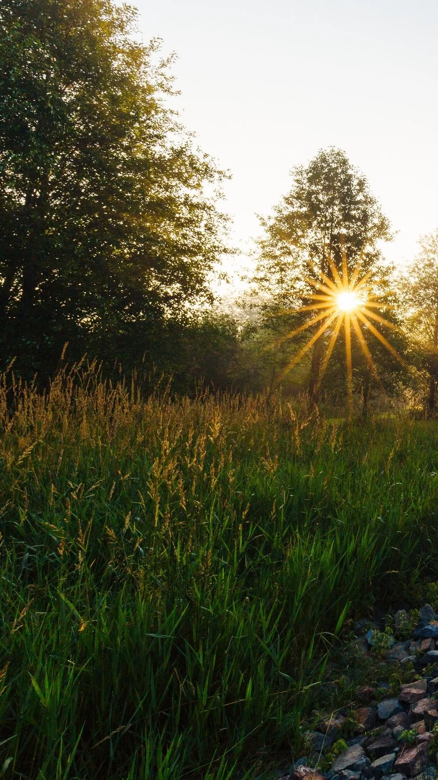 summer+stock+photo.jpg