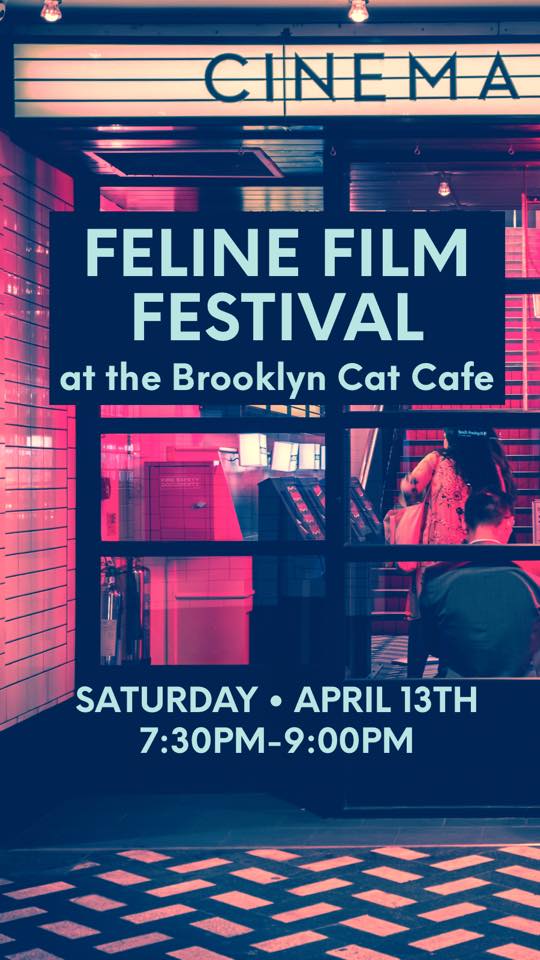Feline Film Festival.jpg
