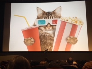 Cat moviegoer NYCFF.jpg