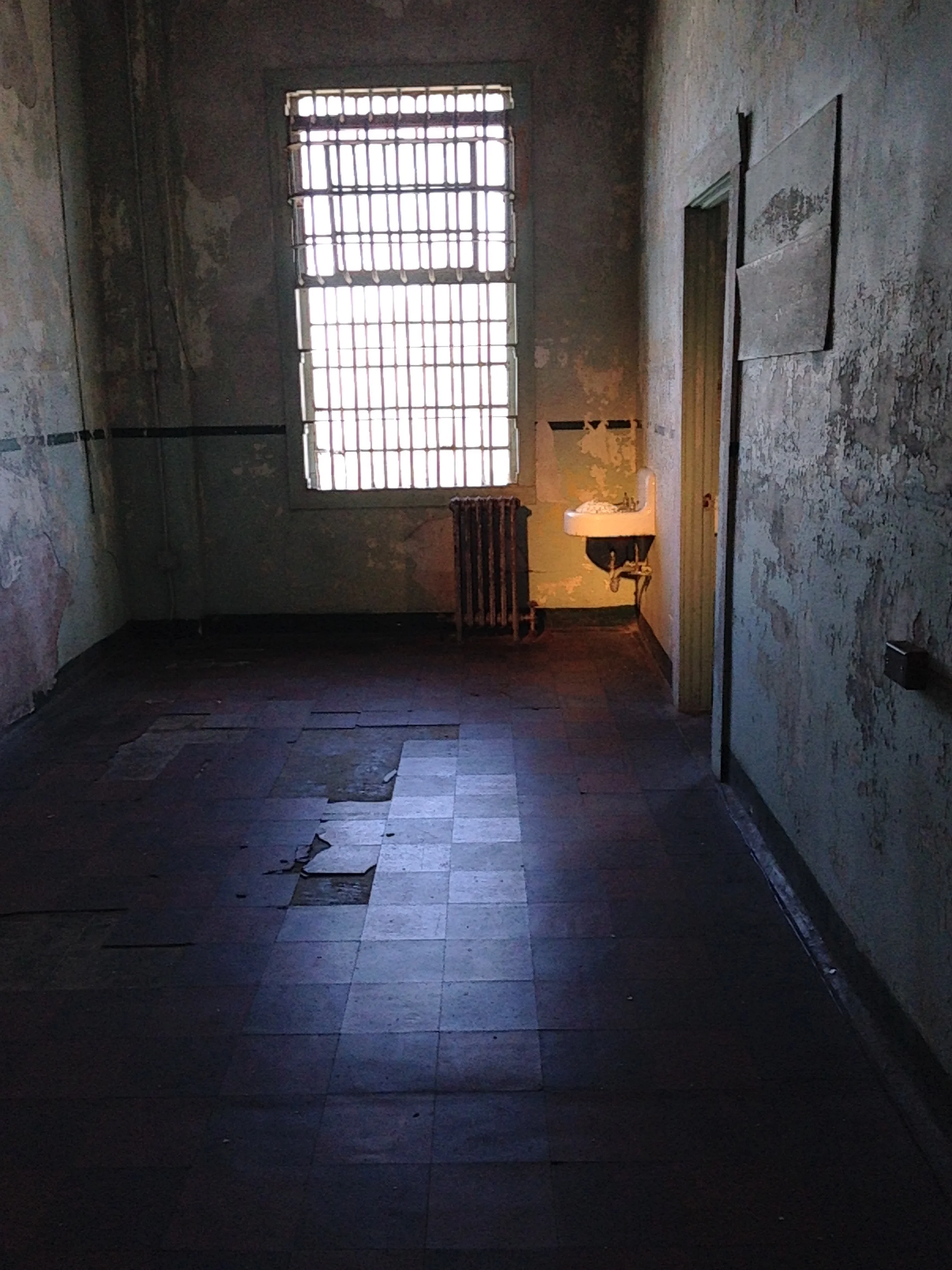 "Blossom Illumination" by Ai Wei Wei, Alcatraz