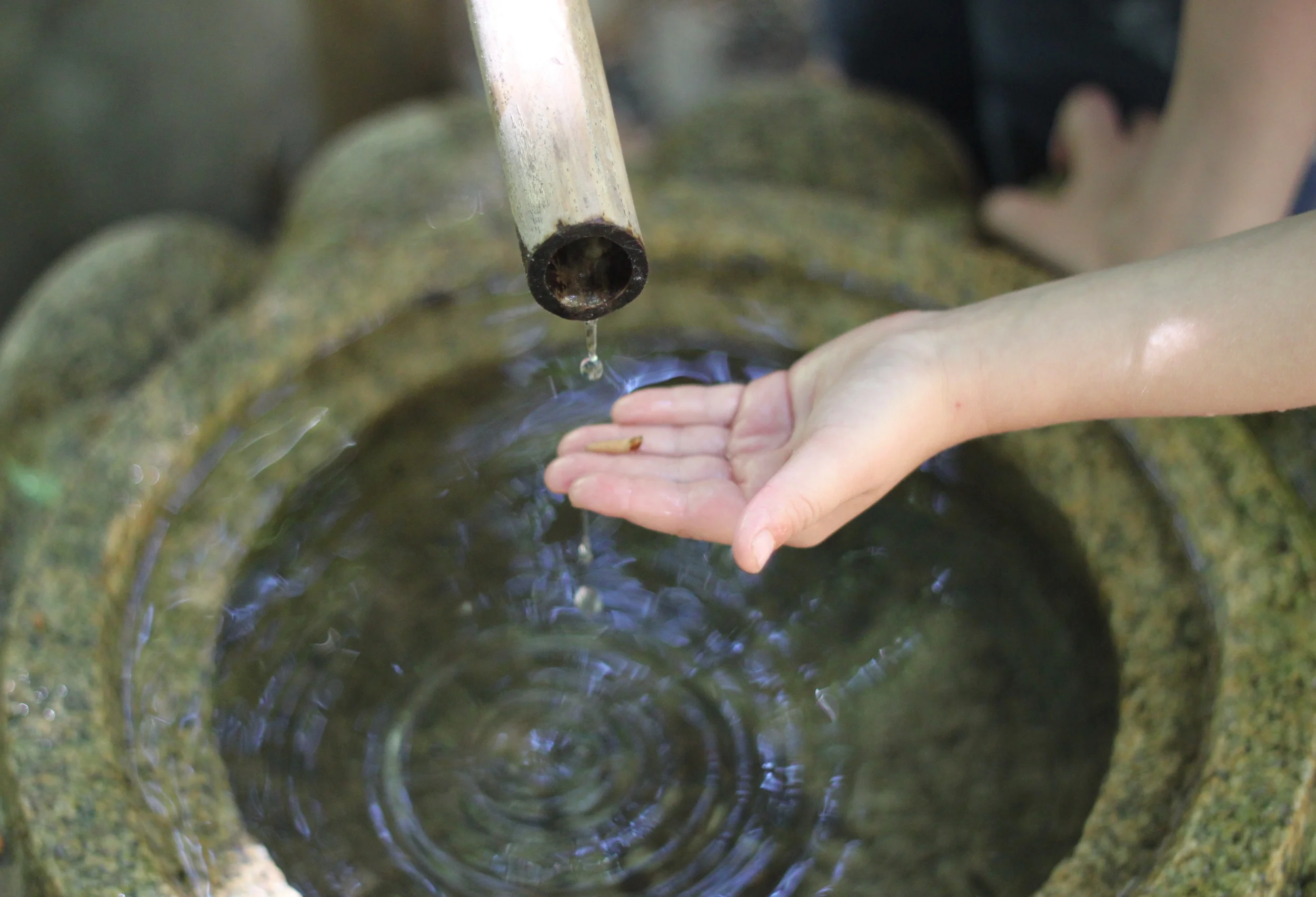 Mindful Parenting Class - Fall 2015